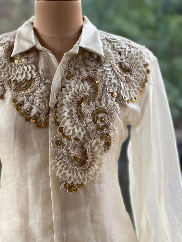 Beige Organza Shirt & Pleated Skirt Set with Applique Detail