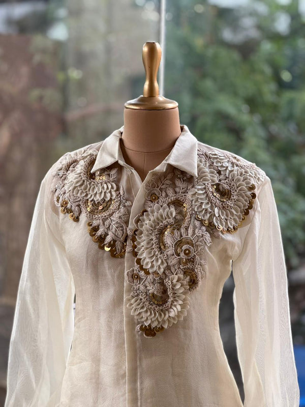 Beige Organza Shirt & Pleated Skirt Set with Applique Detail