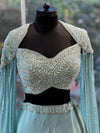 Blue Tail Sleeves Lehenga