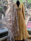 Light Yellow Gown