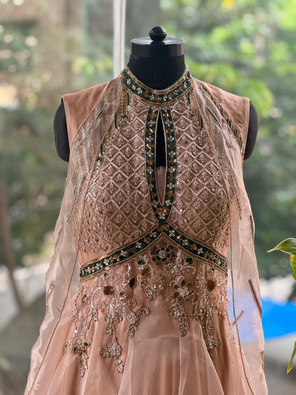 Light Peach designer Made Gown