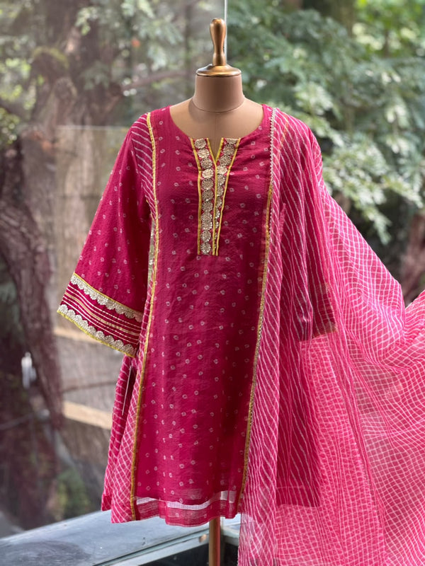 Pink Leheriya Panel Suit