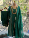 Green Tissue Panel Dupatta Set