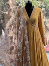 Light Yellow Gown