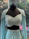 Blue Tail Sleeves Lehenga
