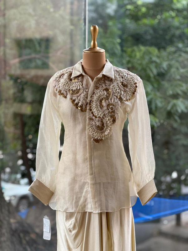 Beige Organza Shirt & Pleated Skirt Set with Applique Detail