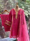 Pink Leheriya Panel Suit